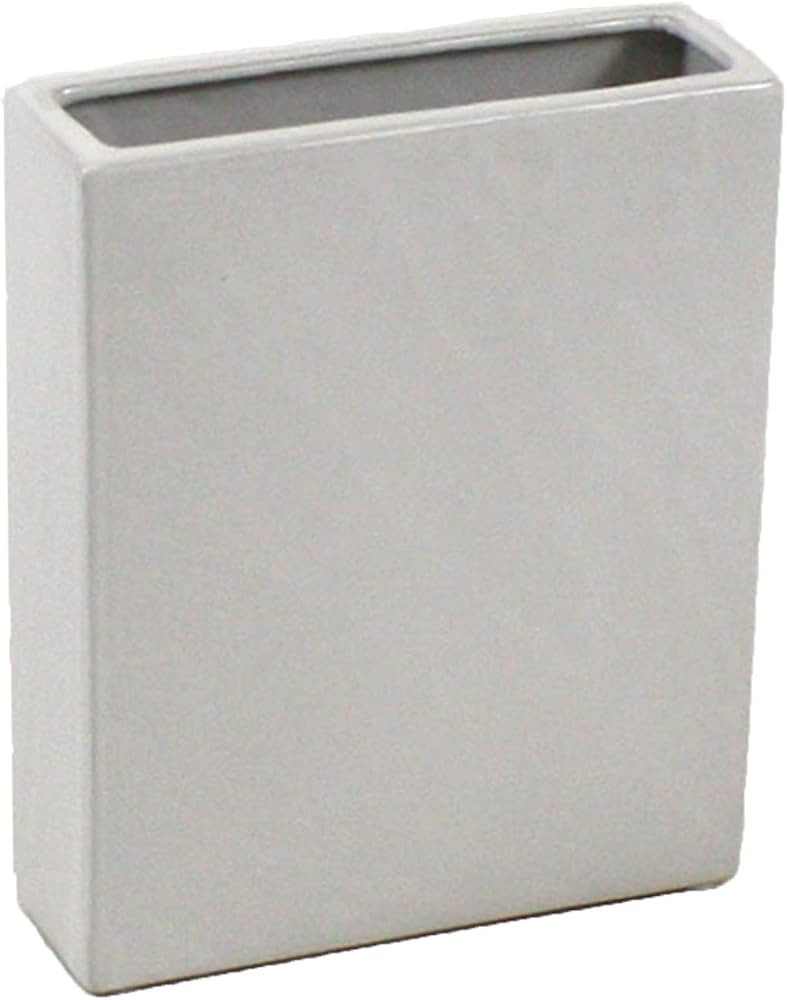 WGV Rectangle Block Ceramic Vase 8" x 2.5" x 10"H White Tall Narrow Planter Terrarium Floral Cent... | Amazon (US)
