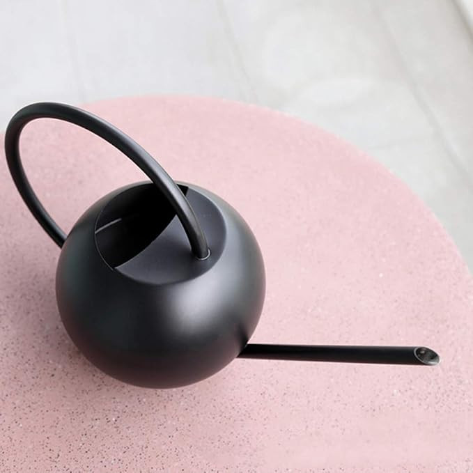 GEZICHTA 1 Litre Long Spout Watering Can Large Capacity Stainless Steel Watering Pot for Indoor P... | Amazon (US)