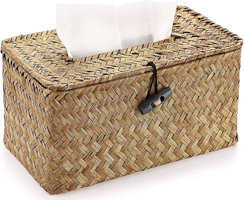 Tissue Box Cover Hand Woven Tissue Holder, Rectangle Decorative Napkin Holder Paper Tissue Dispen... | Amazon (CA)
