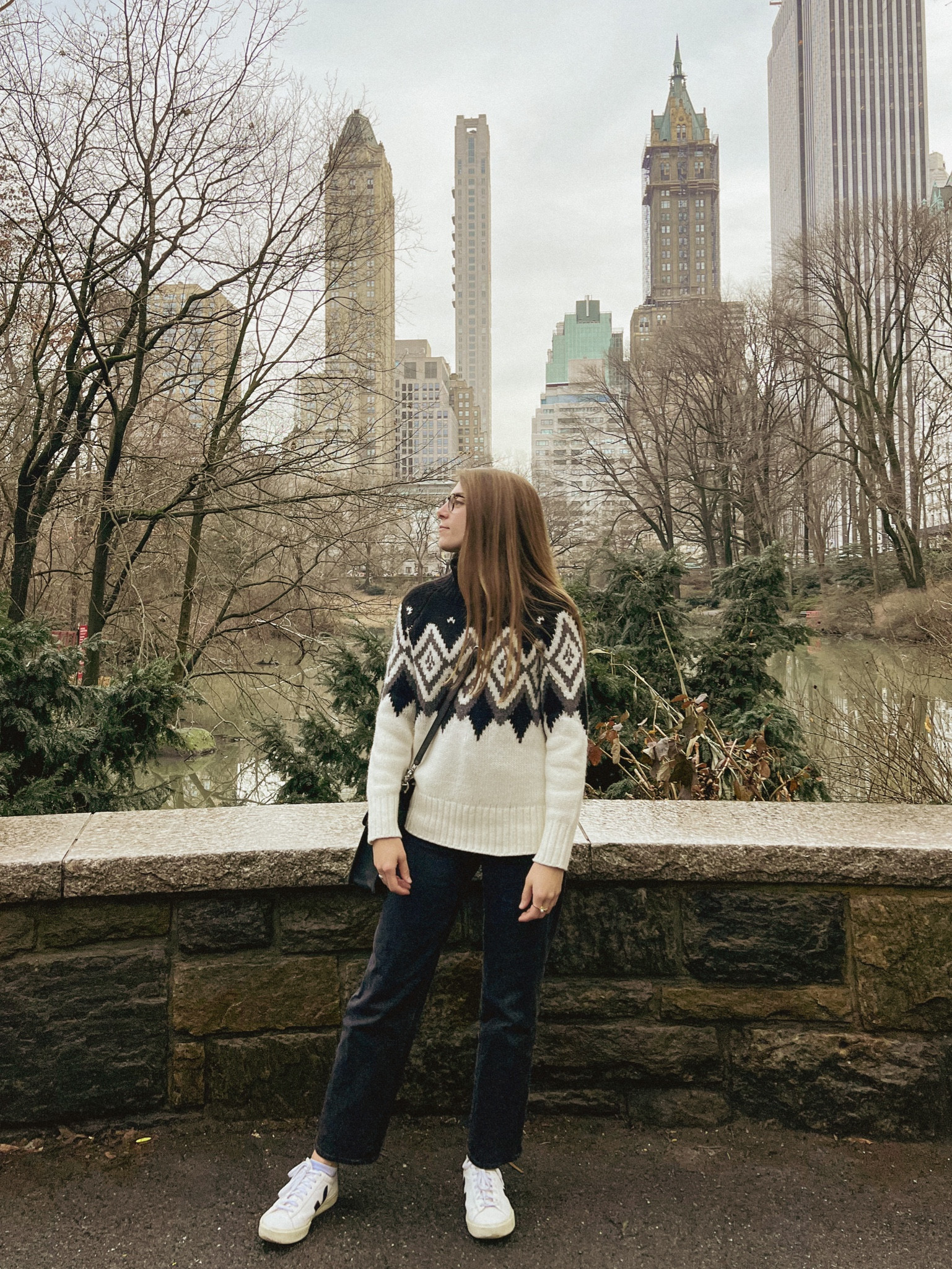 // apres ski // fair isle // classic style // preppy // minimalist // Parisian // winter style // nyc style // travel // veja // sneakers // banana republic // Madewell // straight jeans //

#LTKstyletip #LTKshoecrush #LTKSeasonal