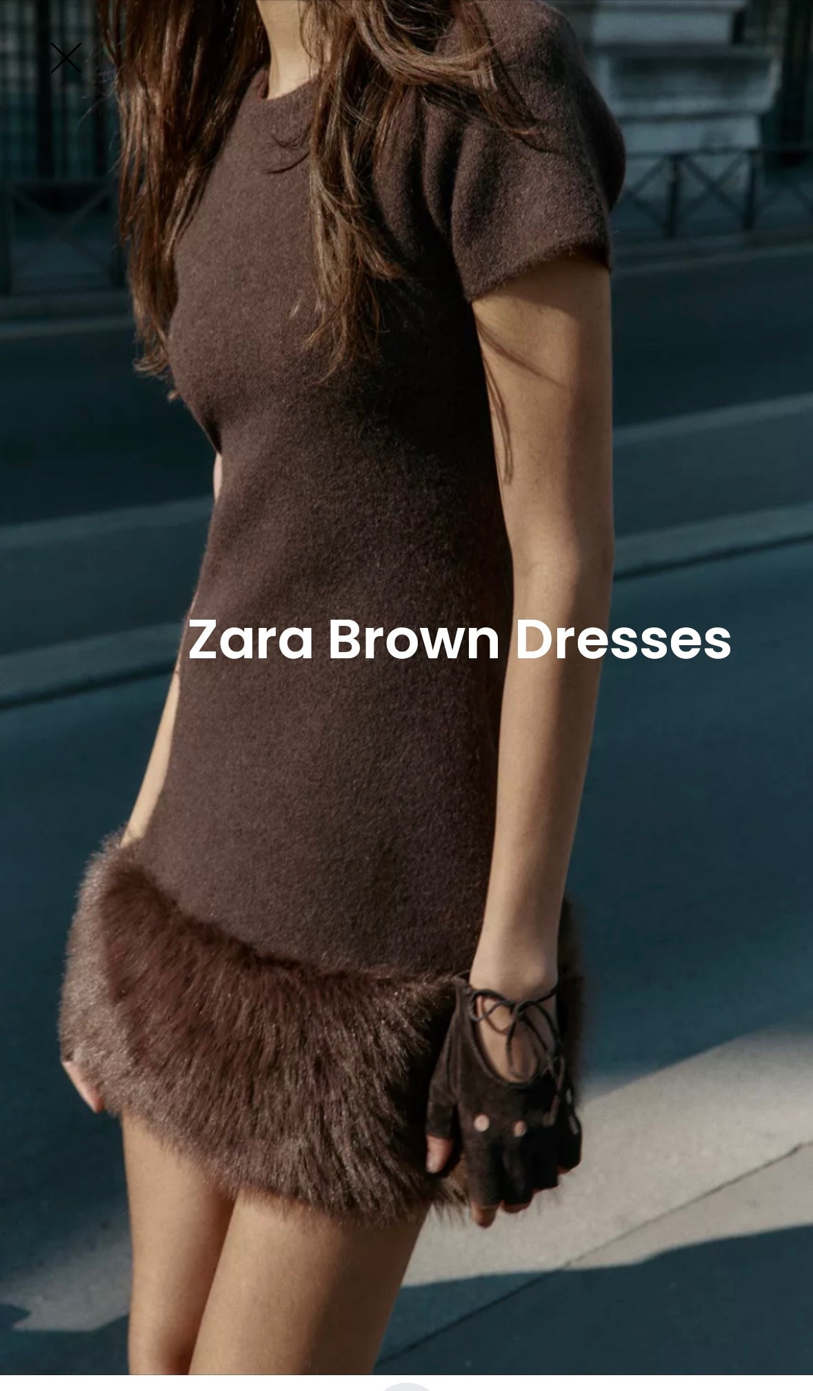 Zara winter brown dresses 

#LTKSeasonal #LTKootd #LTKMidsize