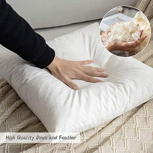 MIULEE Set of 2 Decorative Throw Pillow Inserts, Down and Feather Cotton Fabric Pillows, Square Sham | Amazon (US)