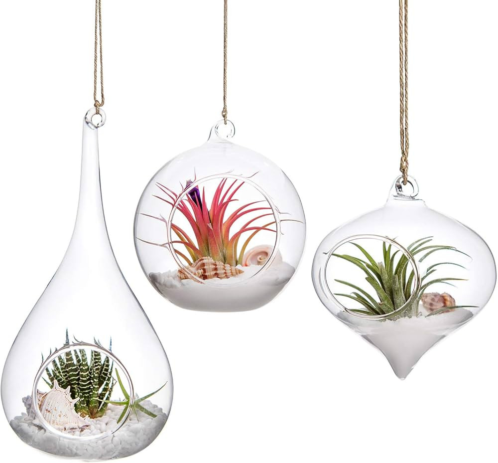 Mkono 3 Pack Glass Hanging Planter Air Fern Holder Terrarium Plants Hanger Vase, Home Christmas D... | Amazon (US)