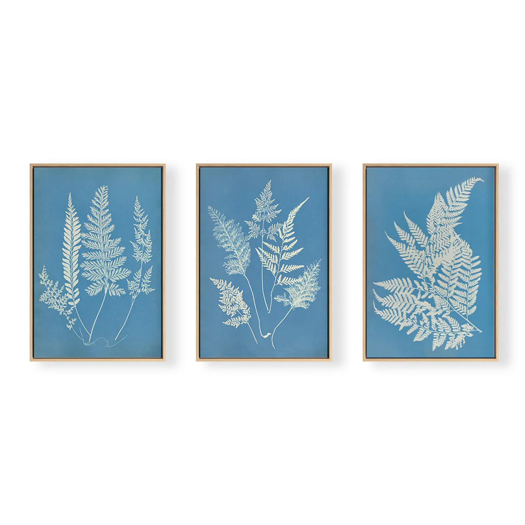 Hued Vintage Fern Trio | Urban Garden Prints