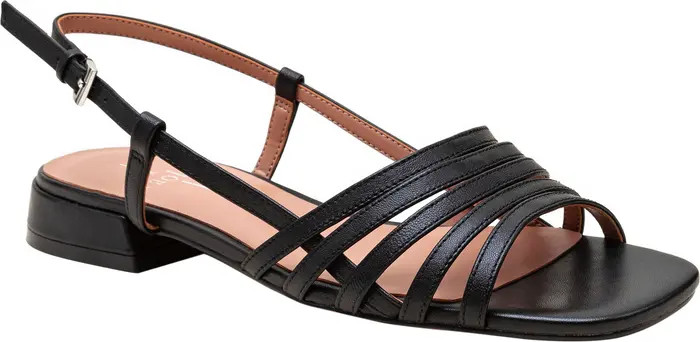 Linea Paolo Lilian Slingback Sandal (Women) | Nordstrom | Nordstrom