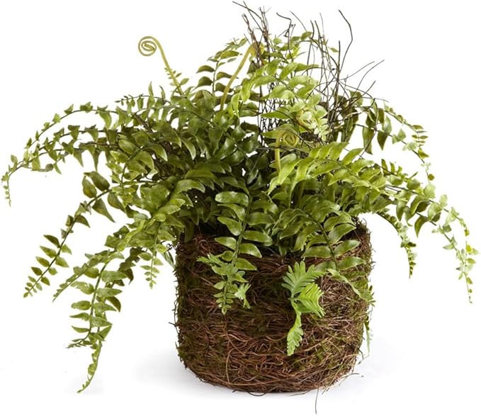 Napa Home & Garden Boston Fern Rustic Drop-in 12" Green | Amazon (US)