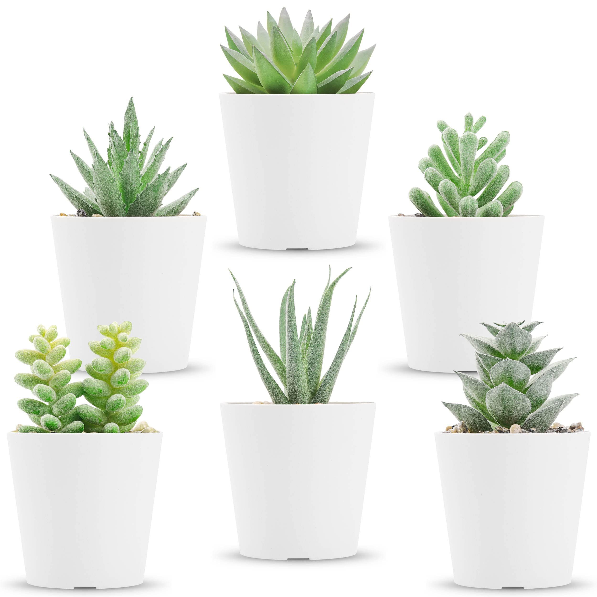 Der Rose 6 Packs Fake Plants for Bedroom Aesthetic Artificial Succulents Plants for Bathroom Farmhou | Amazon (US)