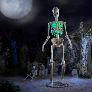 12 FT Giant-Sized Animated LED App Controlled  Skelly with LCD LifeEyes\u2122 | The Home Depot