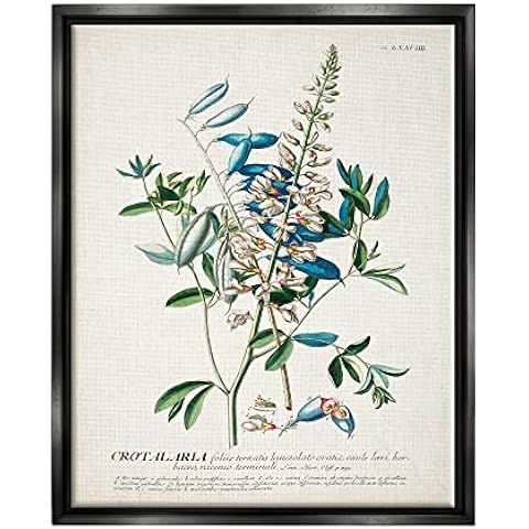 Stupell Industries Botanical Plant Illustration Flowers And Leaves Vintage Design Black Framed Wa... | Amazon (US)