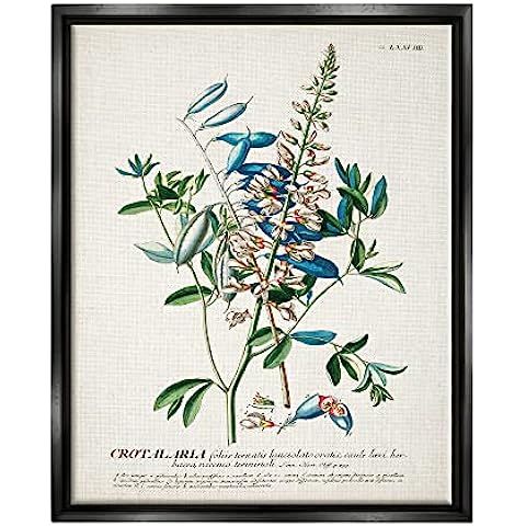 Stupell Industries Botanical Plant Illustration Flowers And Leaves Vintage Design Black Framed Wa... | Amazon (US)