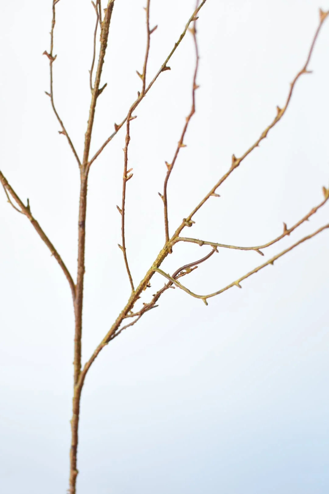 40" Faux Light Brown Twig Branch Stem | HouseFloral