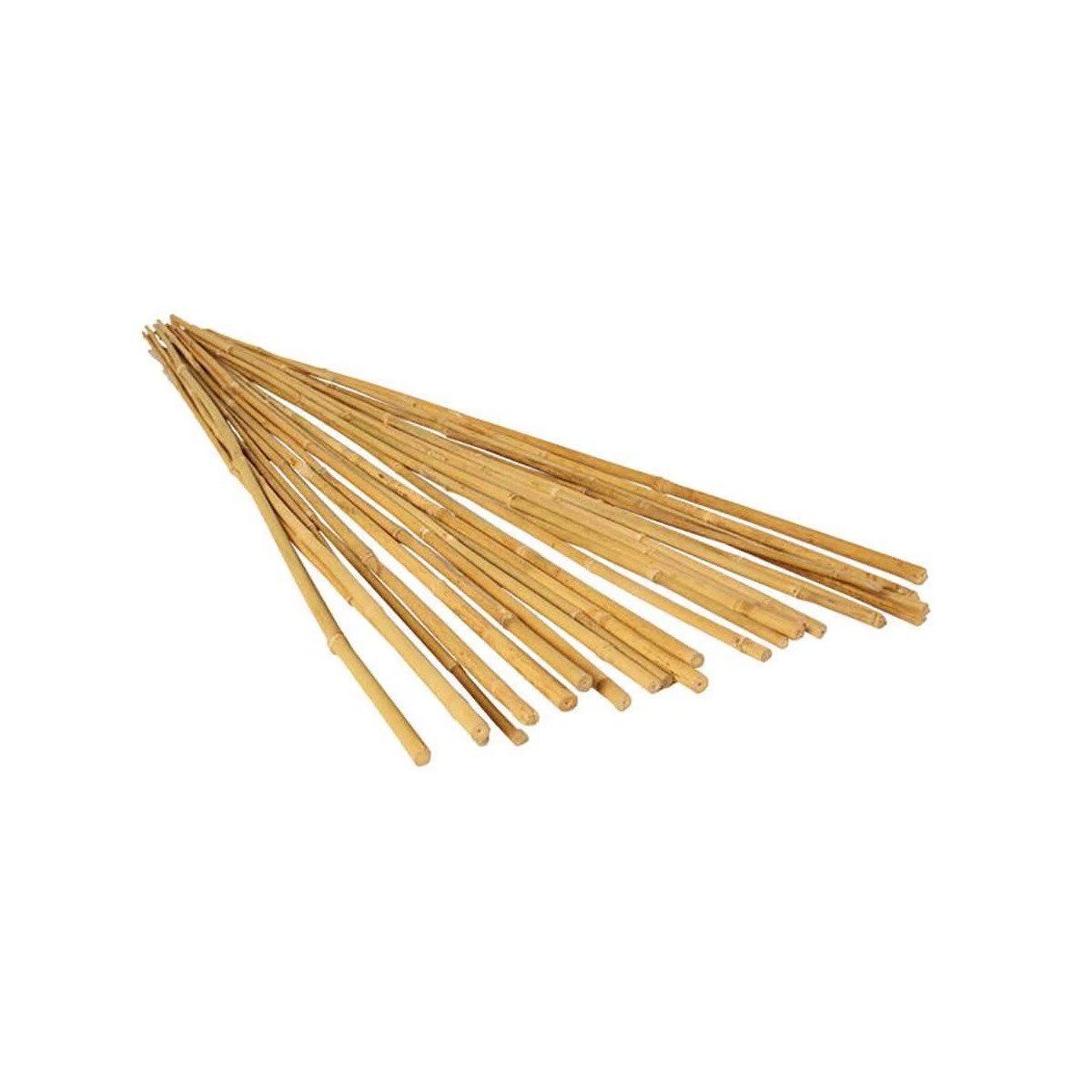 Senetra Bamboo Plants & Flowers Garden Stake (Set of 25) | Wayfair North America