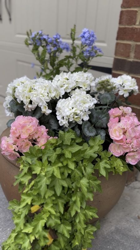 Faux florals for your planters. 





Amazon find 

#LTKfindsunder100 #LTKSeasonal #LTKfindsunder50