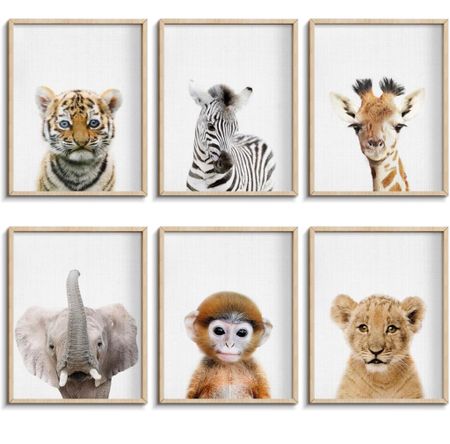 Baby animal photos for the perfect jungle themed nursery  🌴🦒

#LTKfamily #LTKkids #LTKbaby
