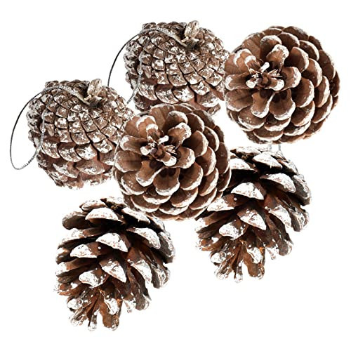 24 PCS Pine Cones for Christmas Tree Snowflake Natural Pinecones Ornament with String Pendant Crafts for Xmas Party Home Decor Fall Winter Holiday Christmas Tree Decoration (24) | Amazon (US)