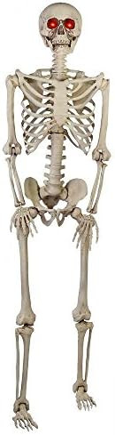 Home Accents HolidayGanmm 5 ft. Poseable Skeleton with LED Illumination | Amazon (US)