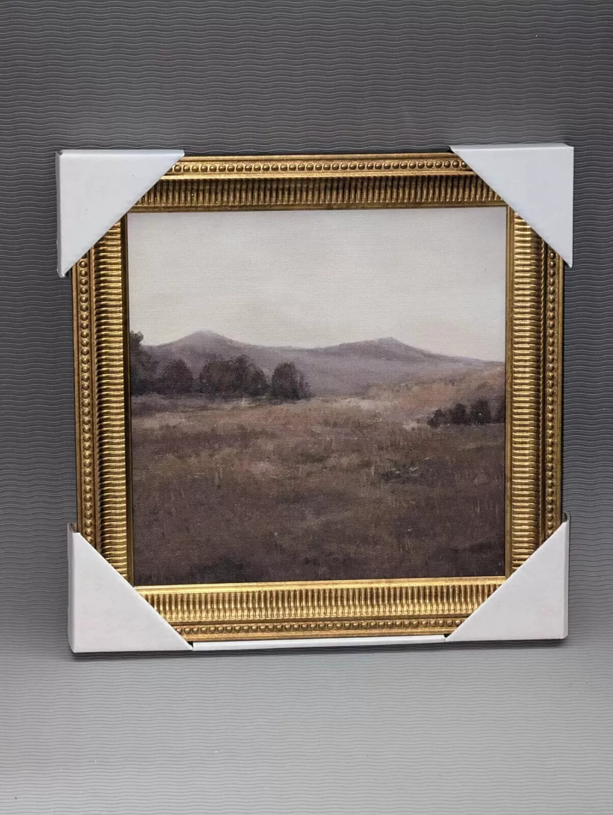 Threshold 12" x 12" Prairie Land Framed Canvas Board  | eBay | eBay US
