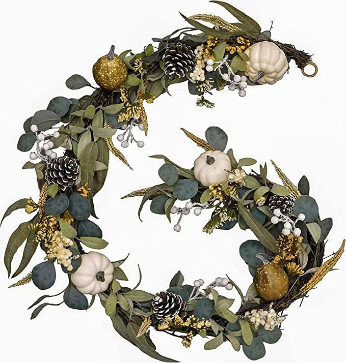 Valery Madelyn 6 feet Fall Garland, Hanging Artificial Garland with White Pumpkin Pinecone Berrie... | Amazon (US)