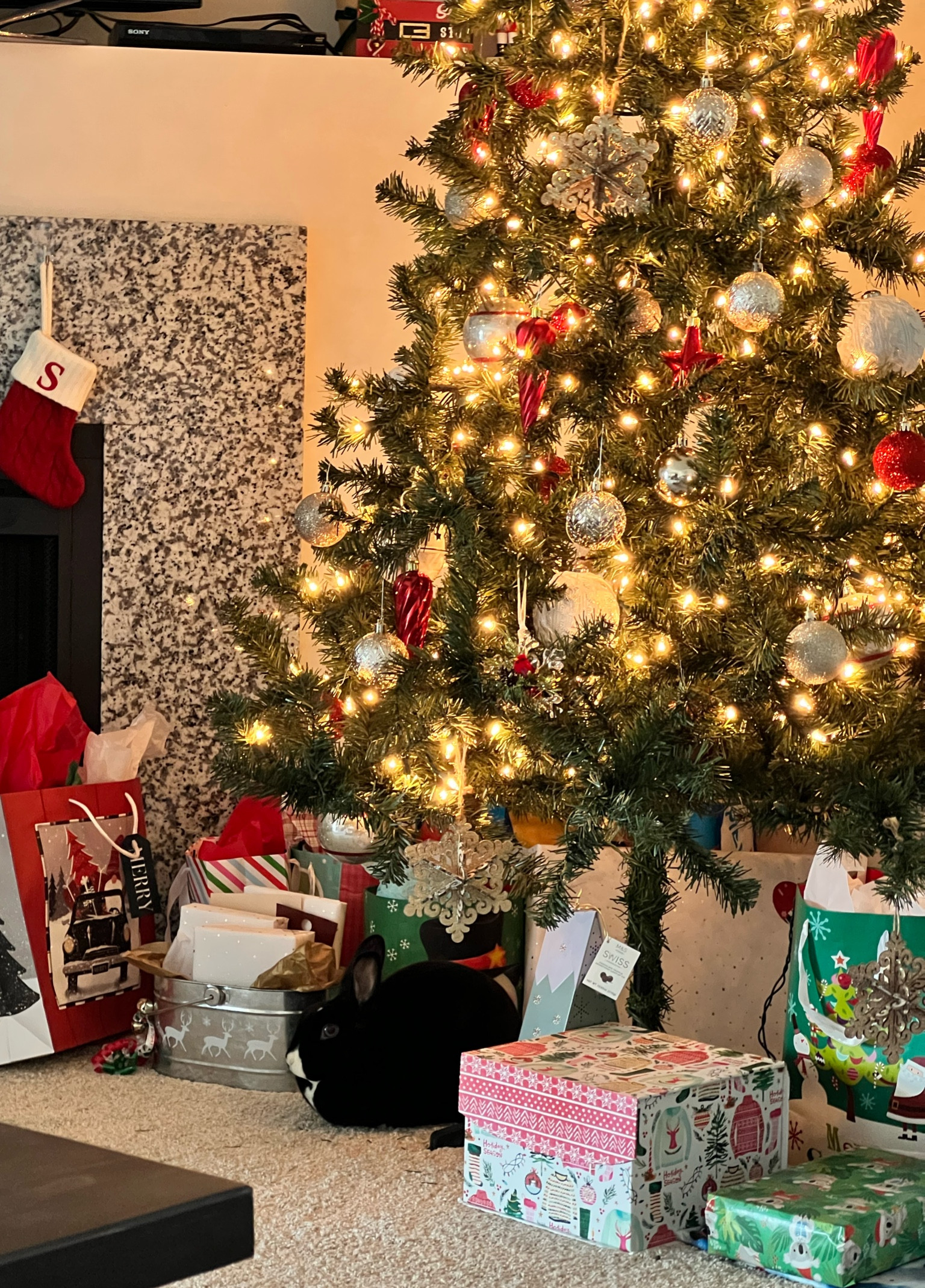 Happy Christmas Eve from a sweet bunny who loves to be tucked in under the Christmas tree between the presents 🎁🎄

#LTKSeasonal #LTKHoliday #LTKhome
