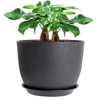 12Inch Large Plant Pot, Modern Plastic Planter With High Driange Holes And Saucer For Indoor Outdoor Garden Plants And Flowers, Black | Wayfair North America