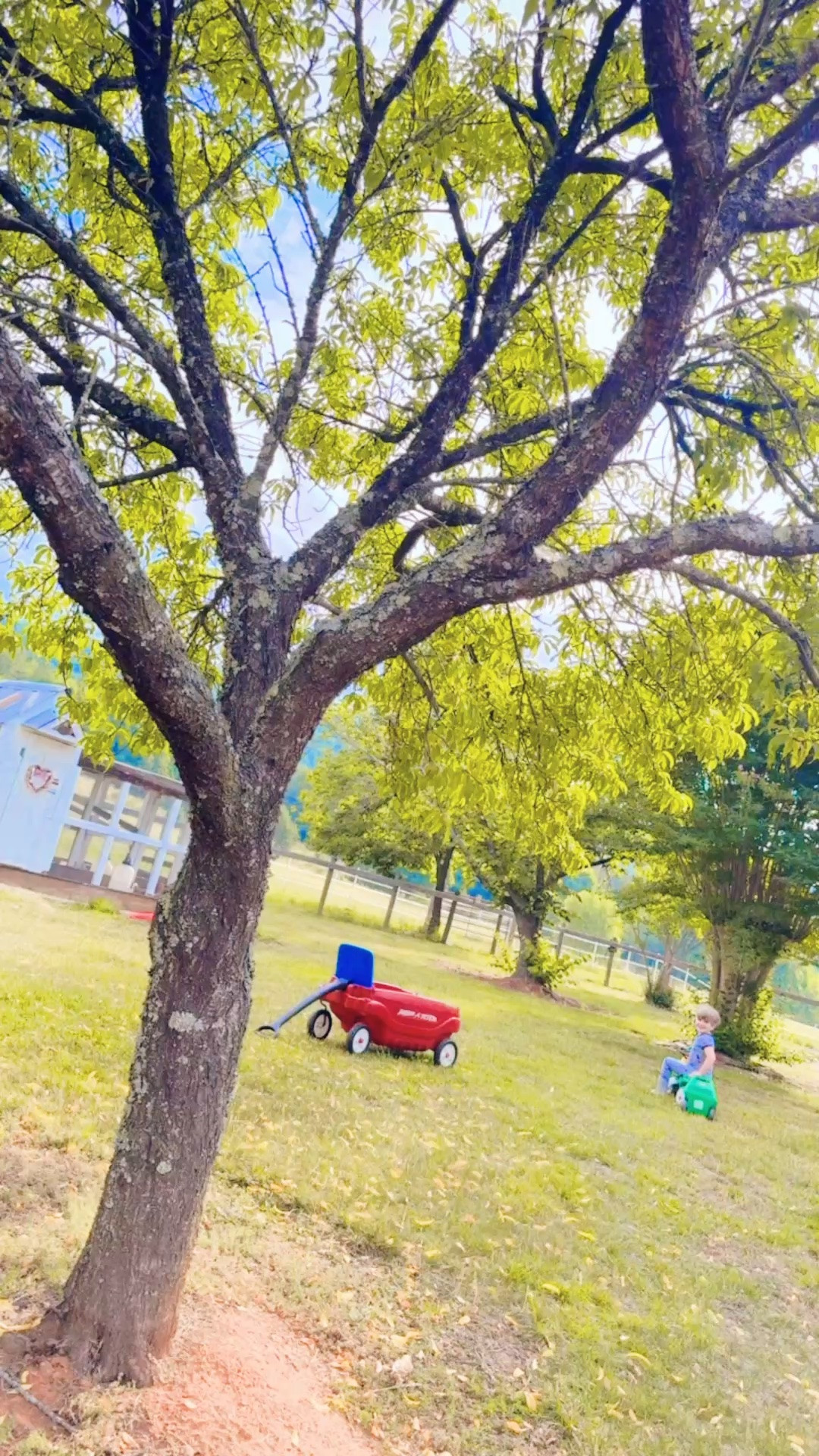 sweet little mornings with my firstborn on our very own slice of heaven on earth