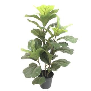 24" Potted Fiddle Leaf Fig Plant by Ashland® | Michaels Stores