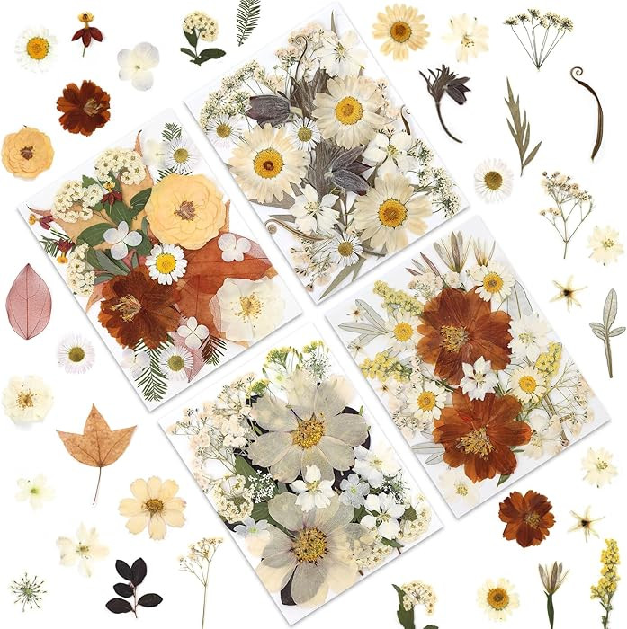 100P Vintage White Dried Flowers for Crafts, Real Natural Pressed Flowers in Retro White Tones fo... | Amazon (US)