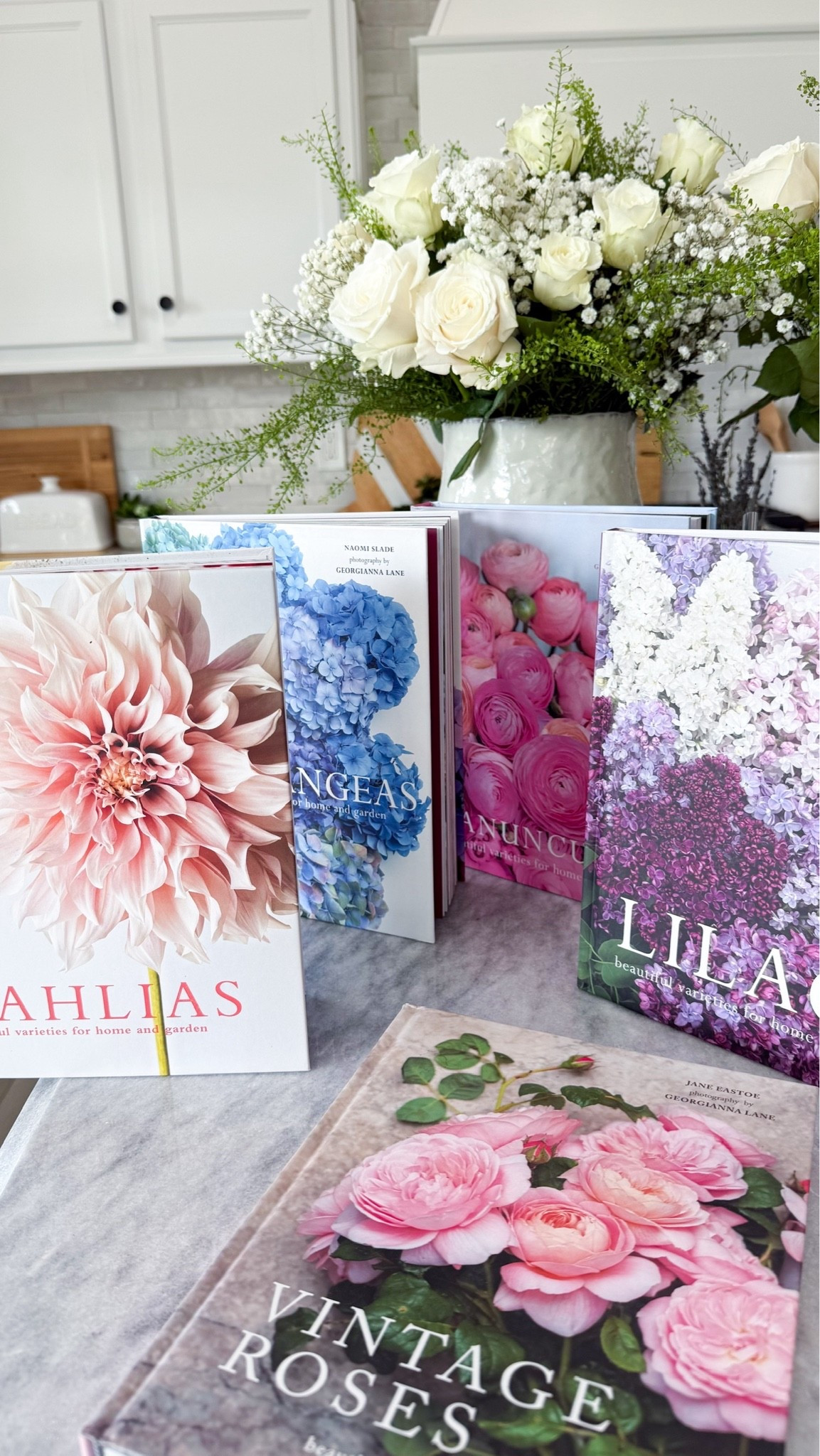 I’ve been loving this collection of coffee table books!
