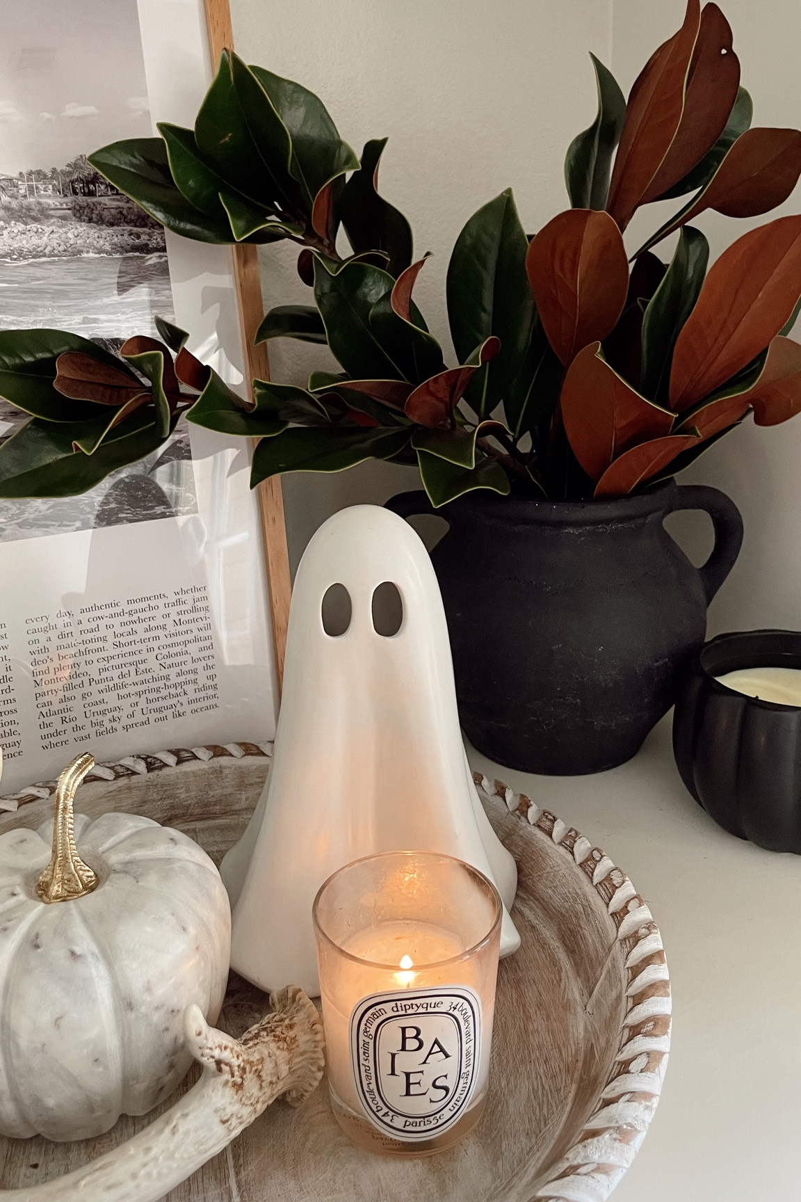 Halloween decor 
Amazon Halloween finds 

#LTKSeasonal #LTKHalloween #LTKHome