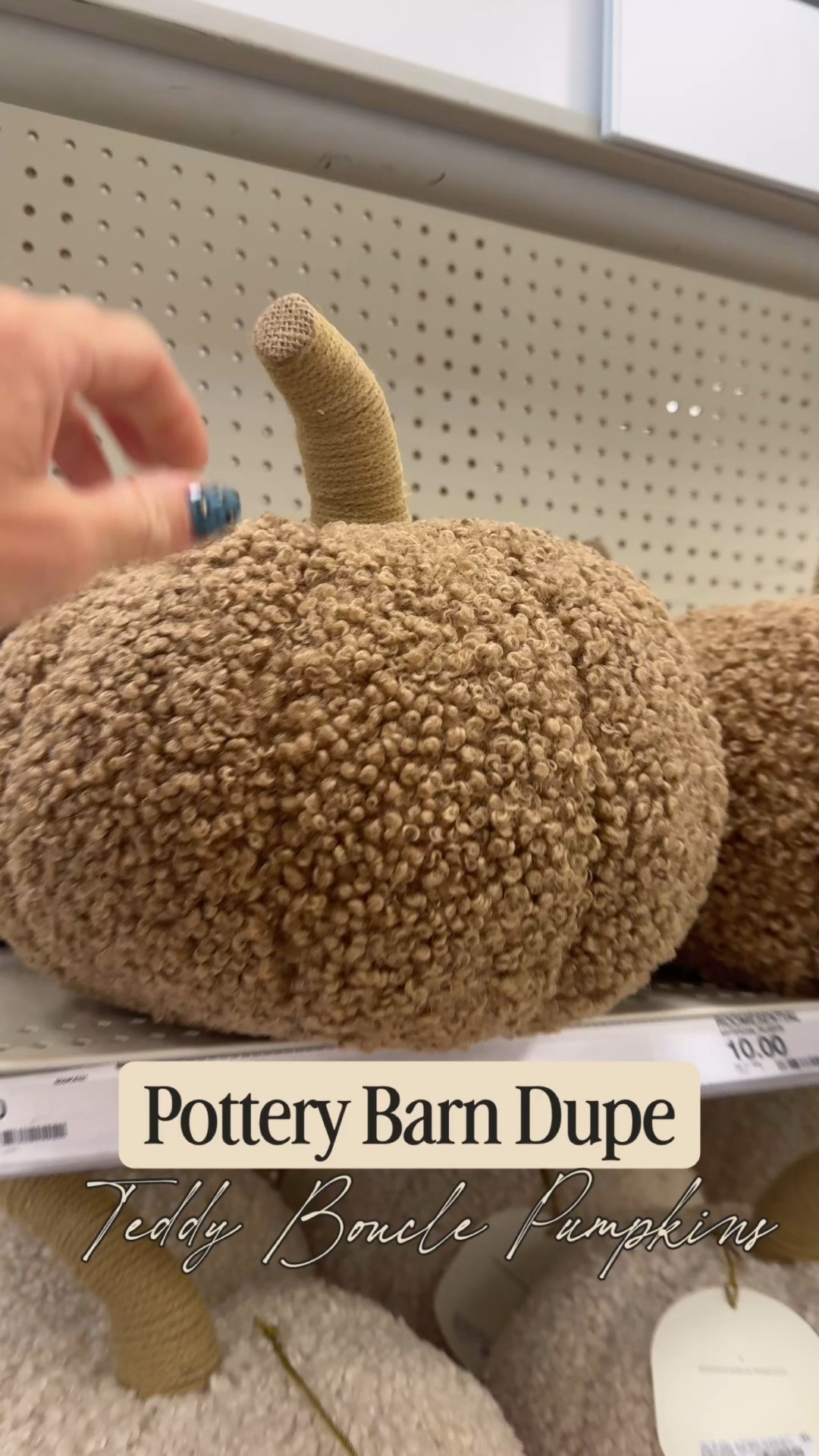 Boucle teddy pumpkins that look just like the pottery barn version but half the price.

#FallDecor #PunkAndDecor #HalloweenDecorations #DesignerDupes #DesignerHomeDupes  #DecorDupes

#LTKHome #LTKHalloween #LTKFamily