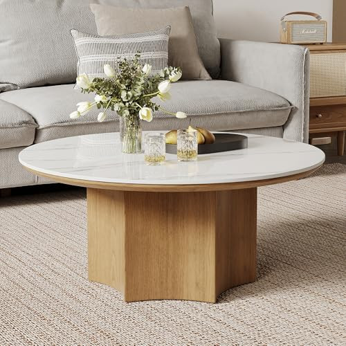 35.43" Modern Round Coffee Table for Living Room, Natural Sintered Stone Living Room Table with W... | Amazon (US)