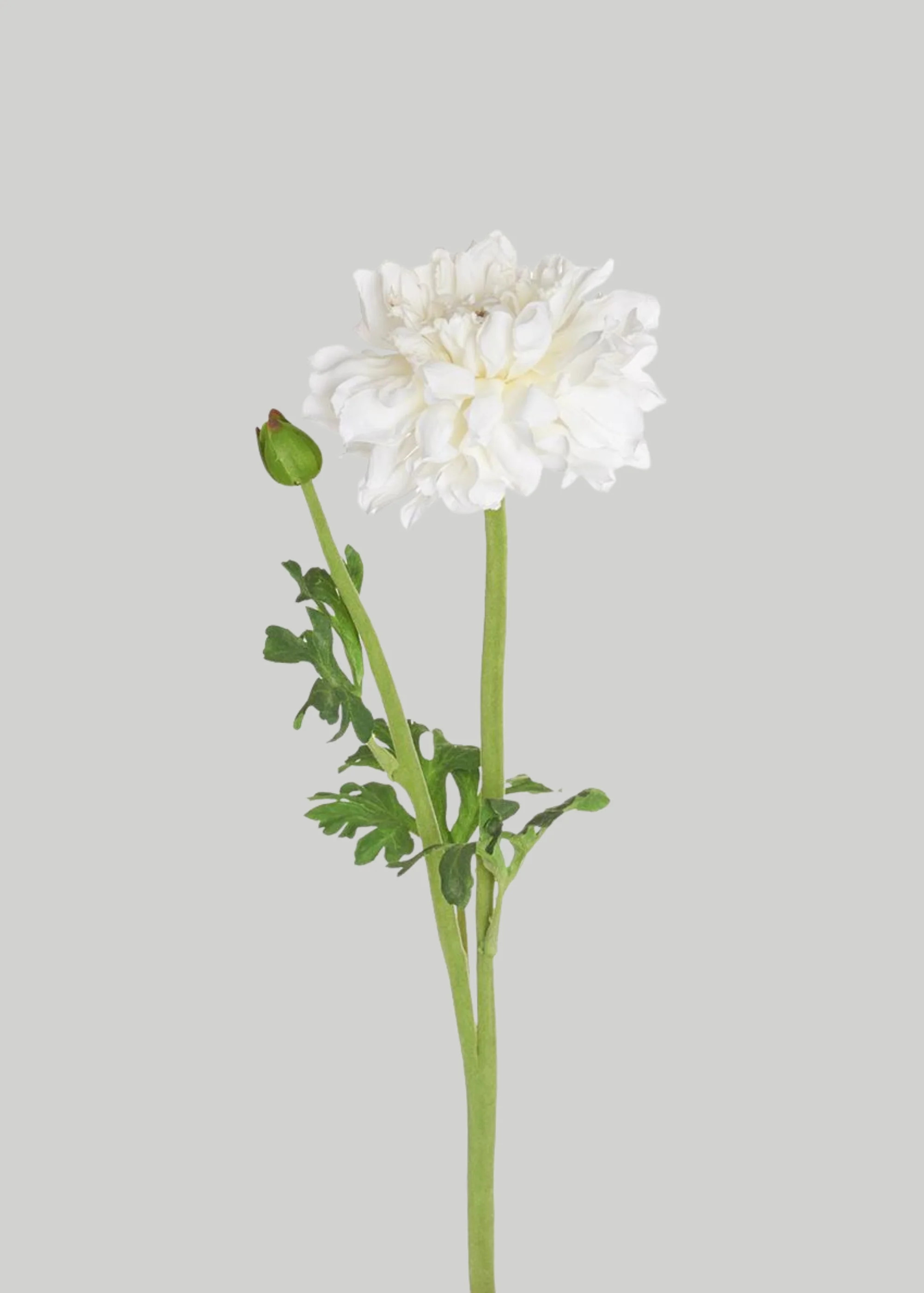Ranunculus Fake Flower in White - 19 | Afloral