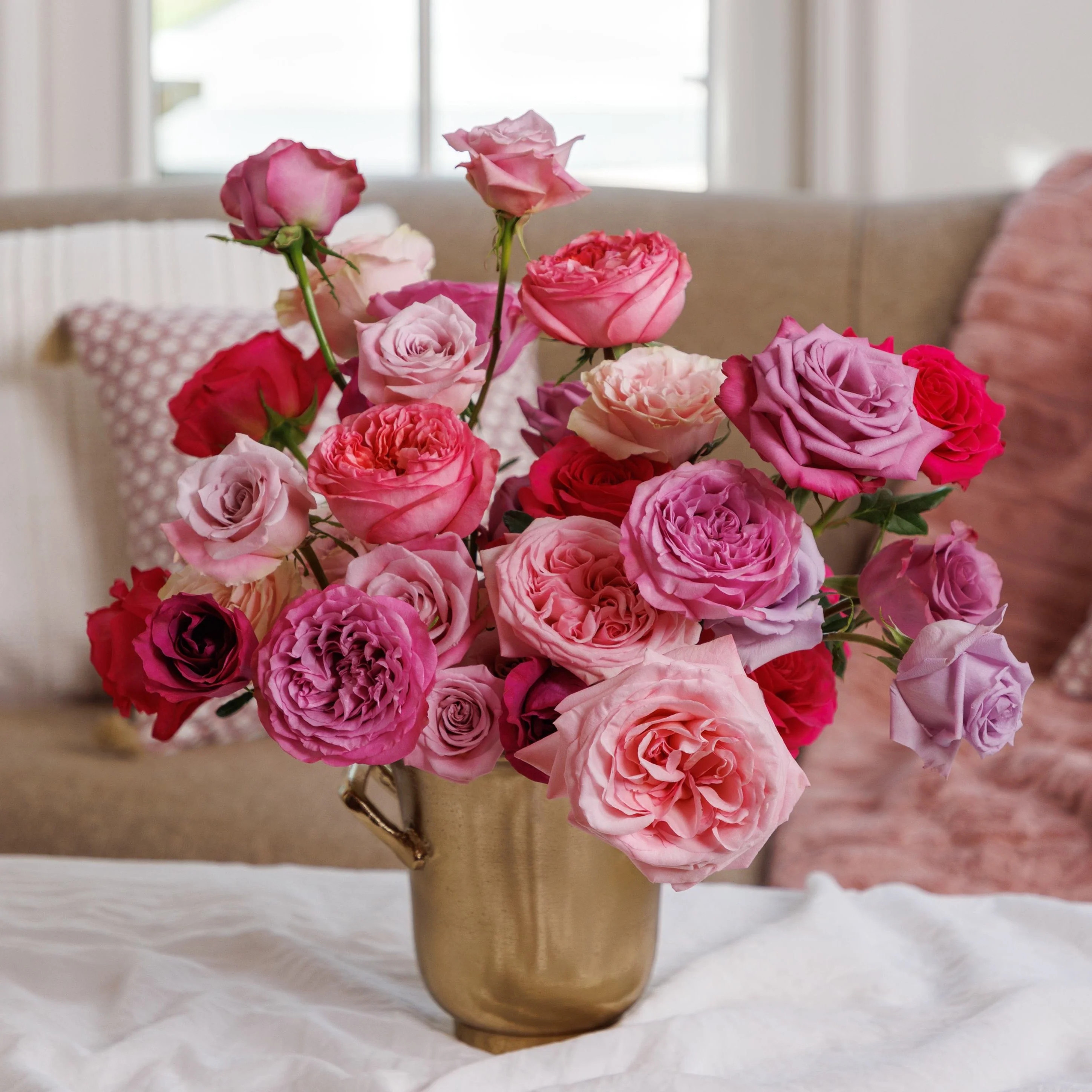 Cupid | grace rose farm