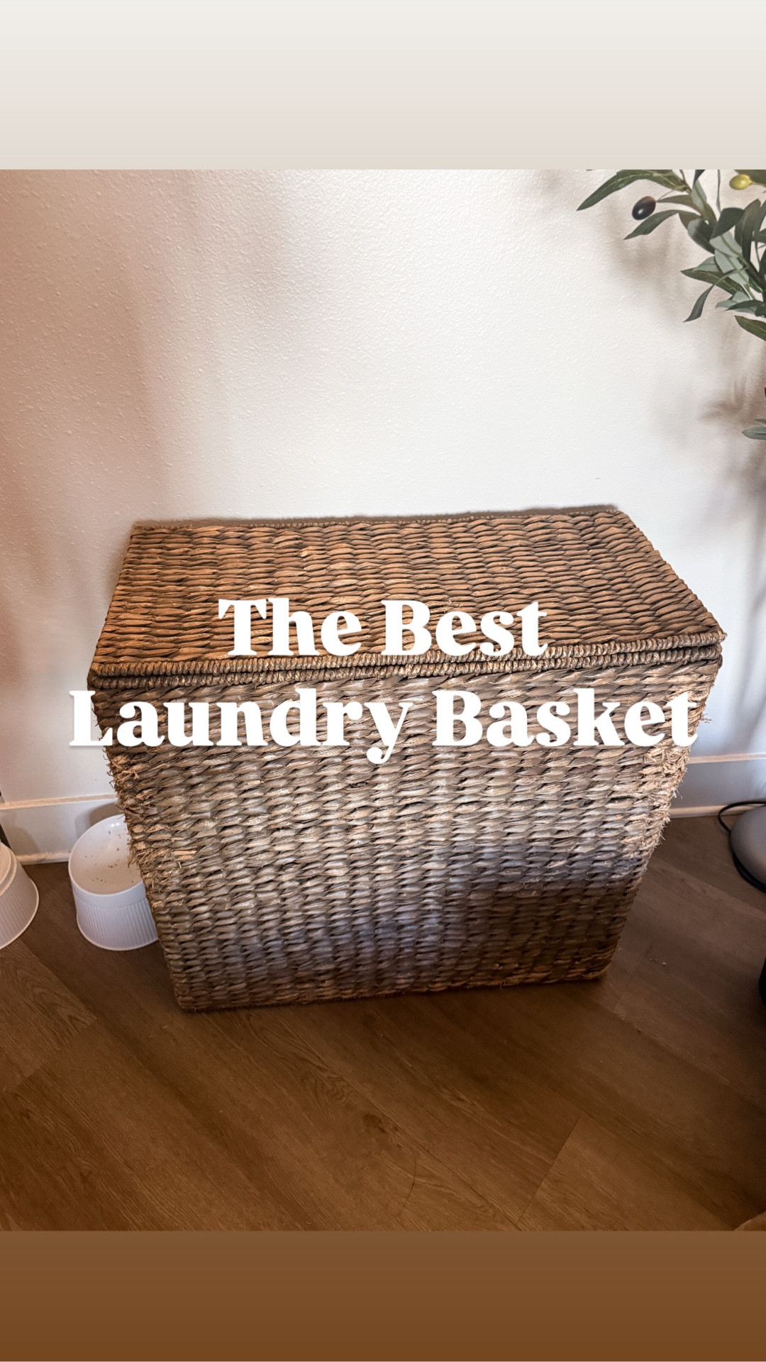 The best wicker laundry basket if you’re into neutrals - cute kitty not included 😝

I bought mine at Pottery Barn and although it’s been a great investment piece for our home, I linked a few similar options for less 🫶🏼


home decor, best laundry basket, neutral laundry basket, Amazon finds, Amazon home

#LTKSeasonal #LTKHome #LTKSaleAlert