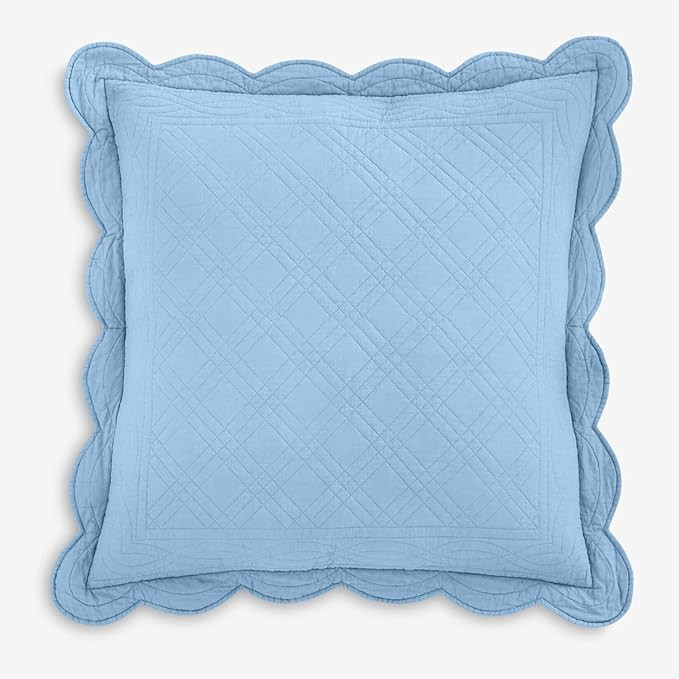 BrylaneHome Florence Euro Sham - Euro, Sky Blue | Amazon (US)