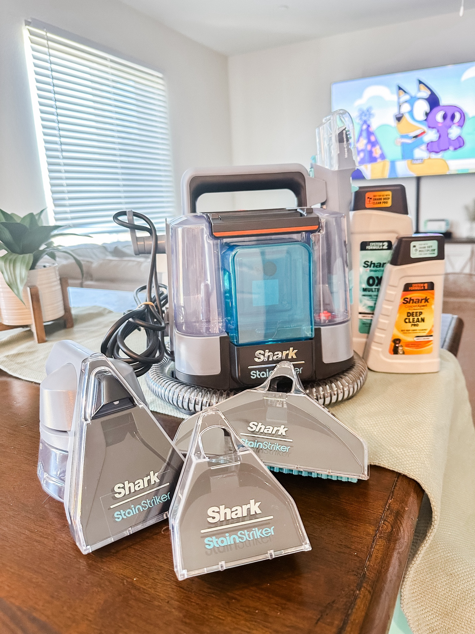 Shark stain striker! 

#LTKFindsUnder100 #LTKHome