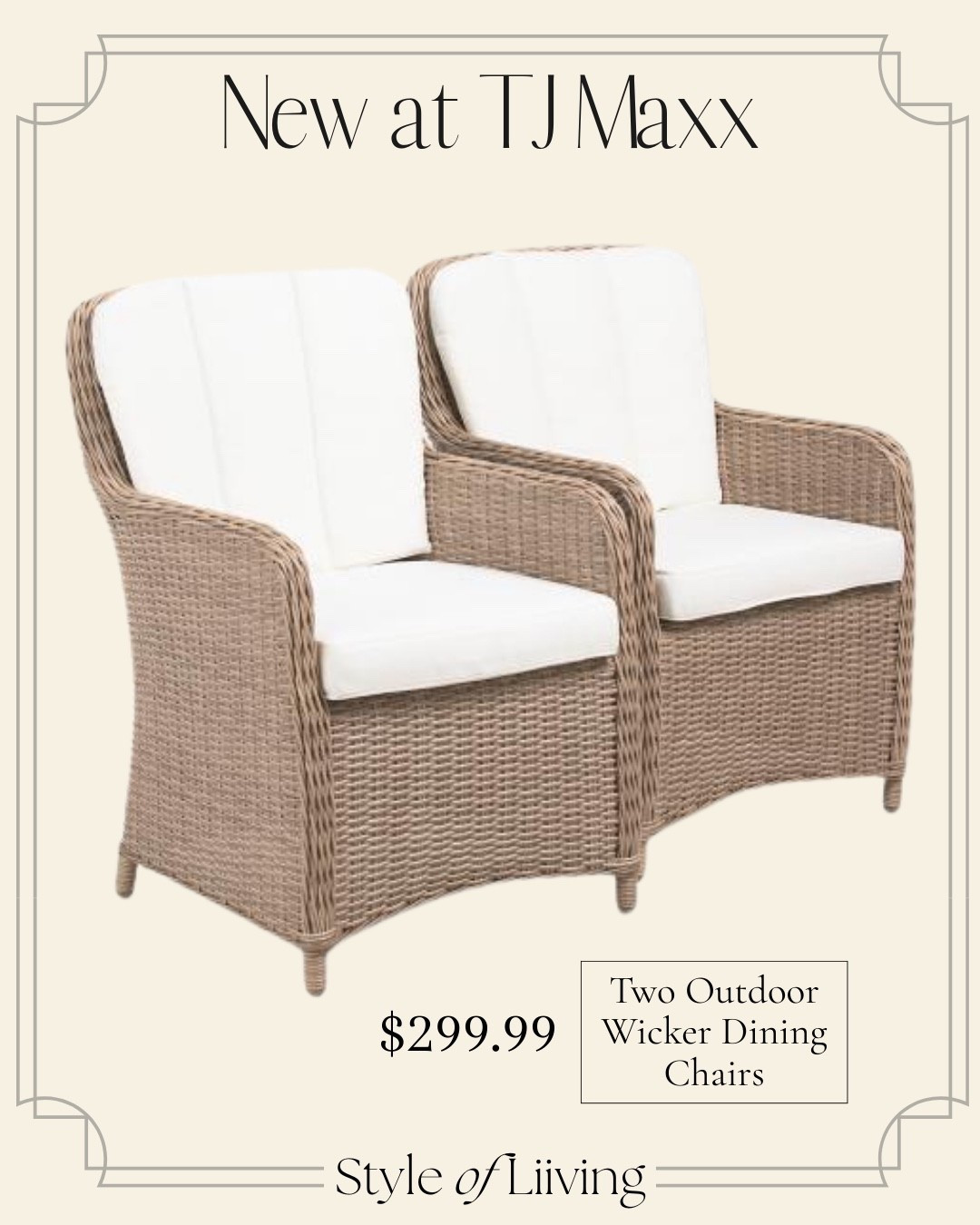 New at TJ Maxx and Marshalls! Two outdoor wicker dining chairs for $299.99. 

#LTKHome #LTKSaleAlert #LTKSeasonal