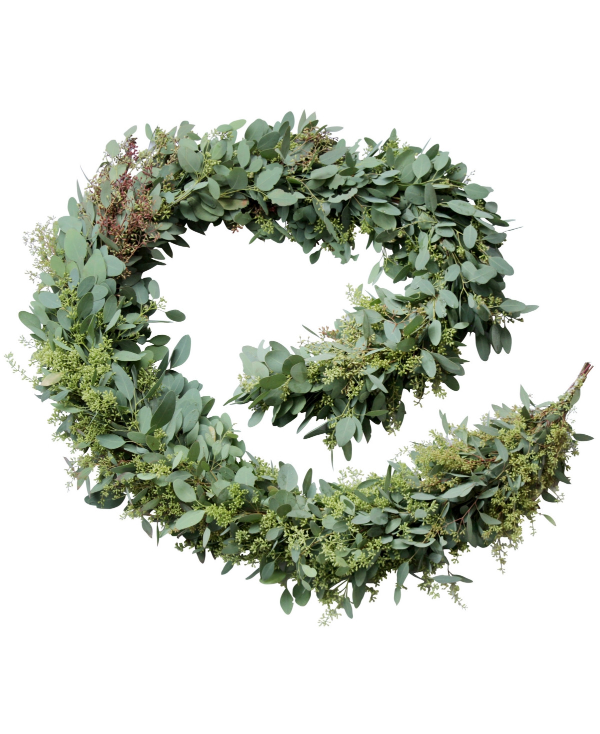 Magnolia Supply Co Fresh Seeded Eucalyptus Garland, 6' | Macys (US)