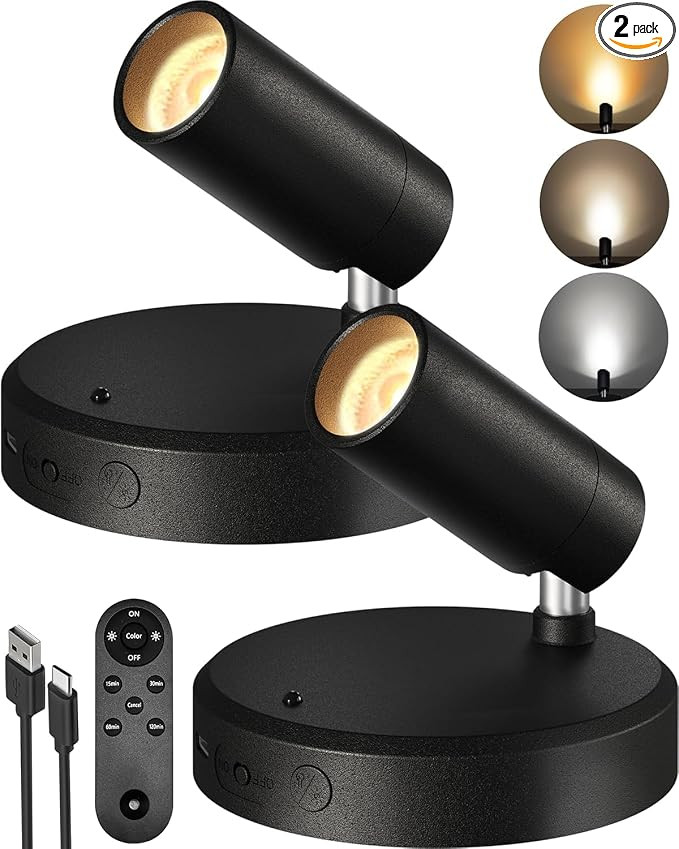 EZVALO Spotlights Indoor with Remote, 5500mAh Rechargeable Picture Lights, Wireless Uplights with... | Amazon (US)