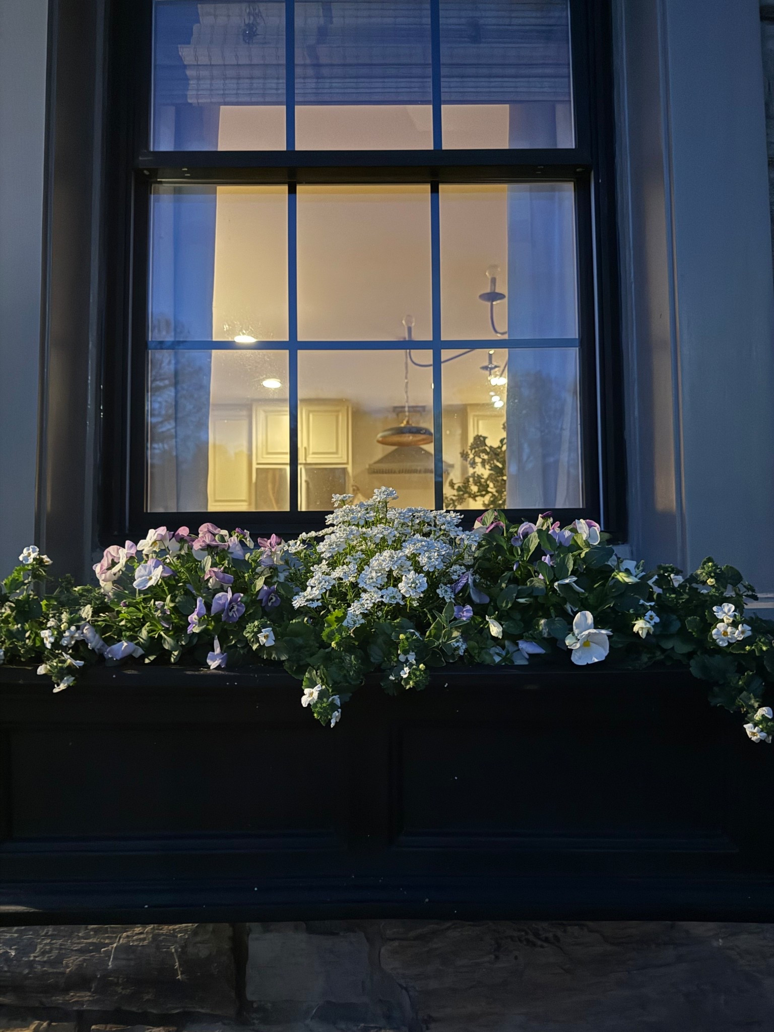 Window box…

#LTKHome #LTKSaleAlert #LTKSeasonal
