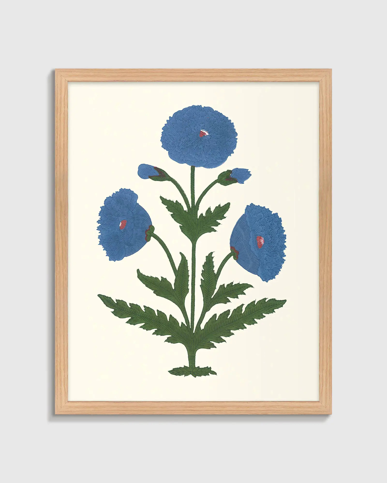 Mughal Poppy Antique Print in Oak | Quince