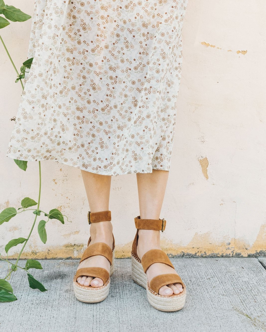 Palma Platform | Soludos