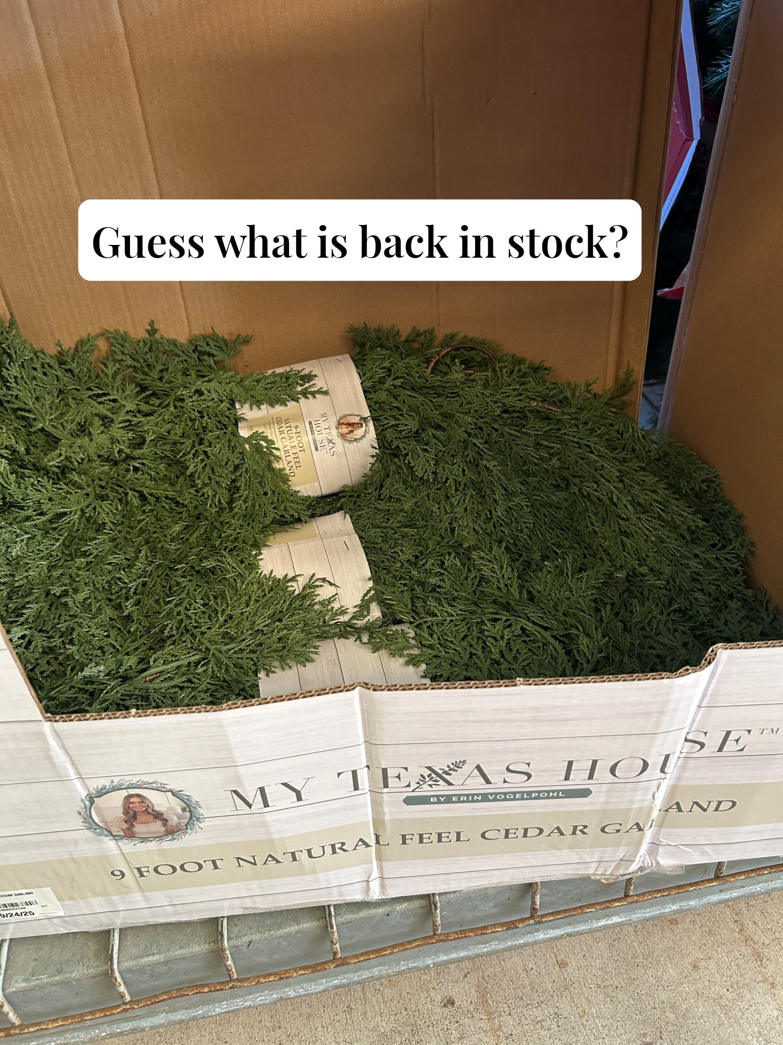 Grab this viral garland while you can. It is seriously sooooo goood! 

Garland, Christmas, holiday home, Walmart finds, my Texas house

#LTKFindsUnder50 #LTKHoliday #LTKHome