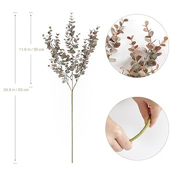 SOMYTING | Amazon (CA)