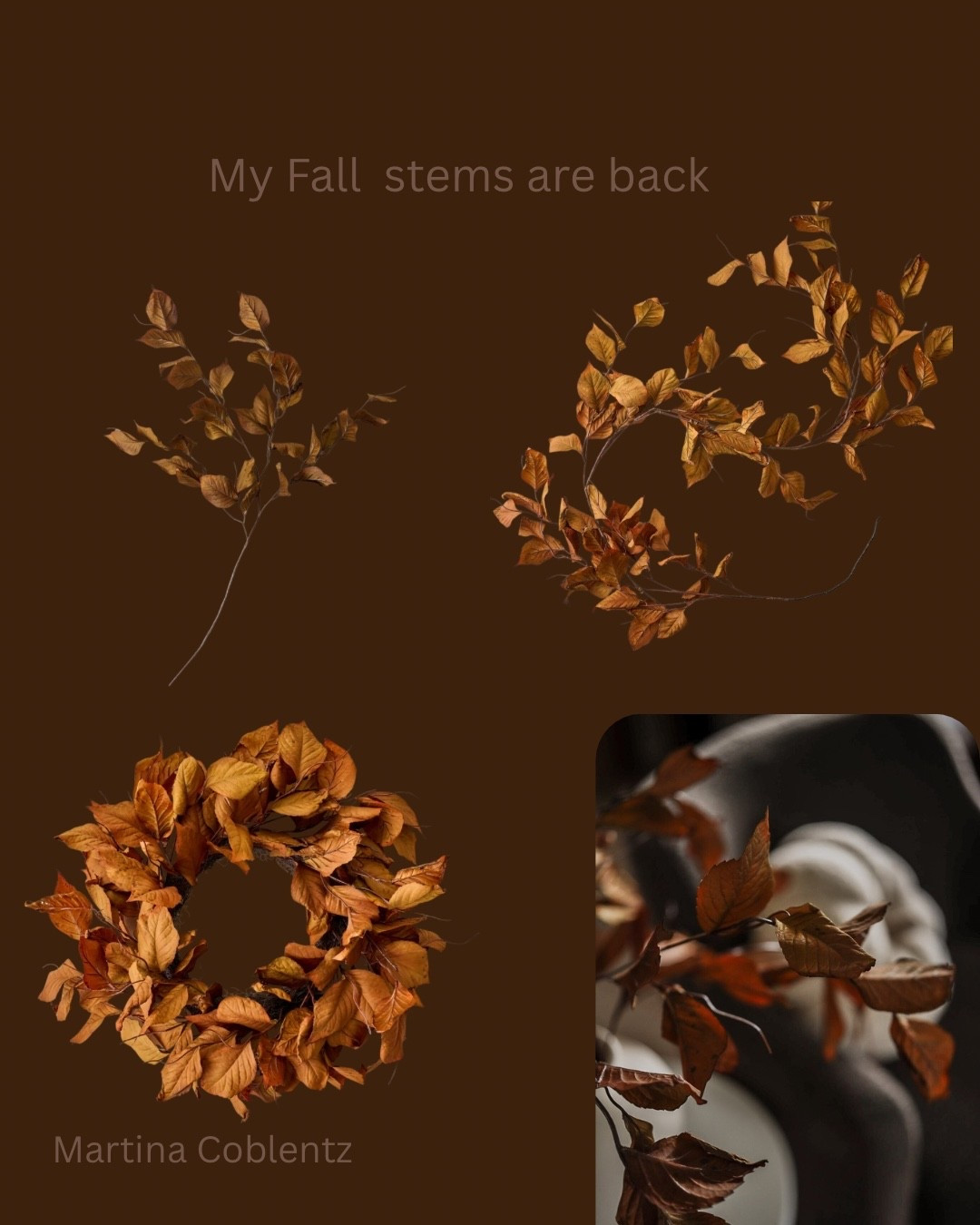 My all time favorite fall stems are back! I'll be snagging more this year. 


•fall decor •home decor •cozy home •magnolia •moody home •fall •autumn •autumn decor •viral

#LTKHome #LTKSeasonal #LTKU