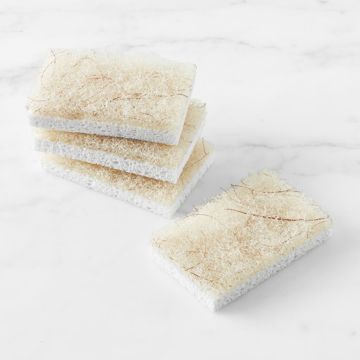 Full Circle Cleana Colada Coconut Scrubber Sponge | Williams-Sonoma