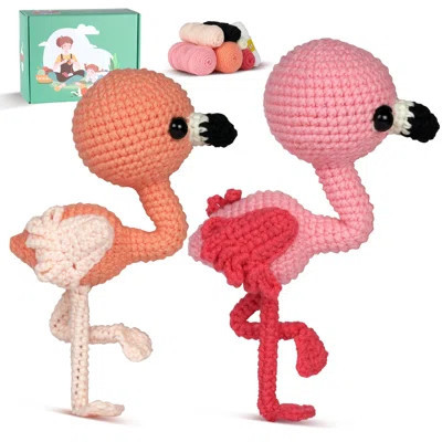 Flamingos Amigurumi DIY Crochet Kit Wizardi F07N8-M205 | Wayfair North America