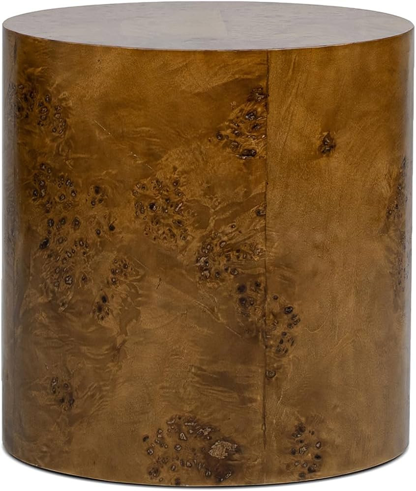Jennifer Taylor Home Nebula 20" Accent Oval Pillar Side Table, Medium Brown Walnut Burl Wood | Amazon (US)