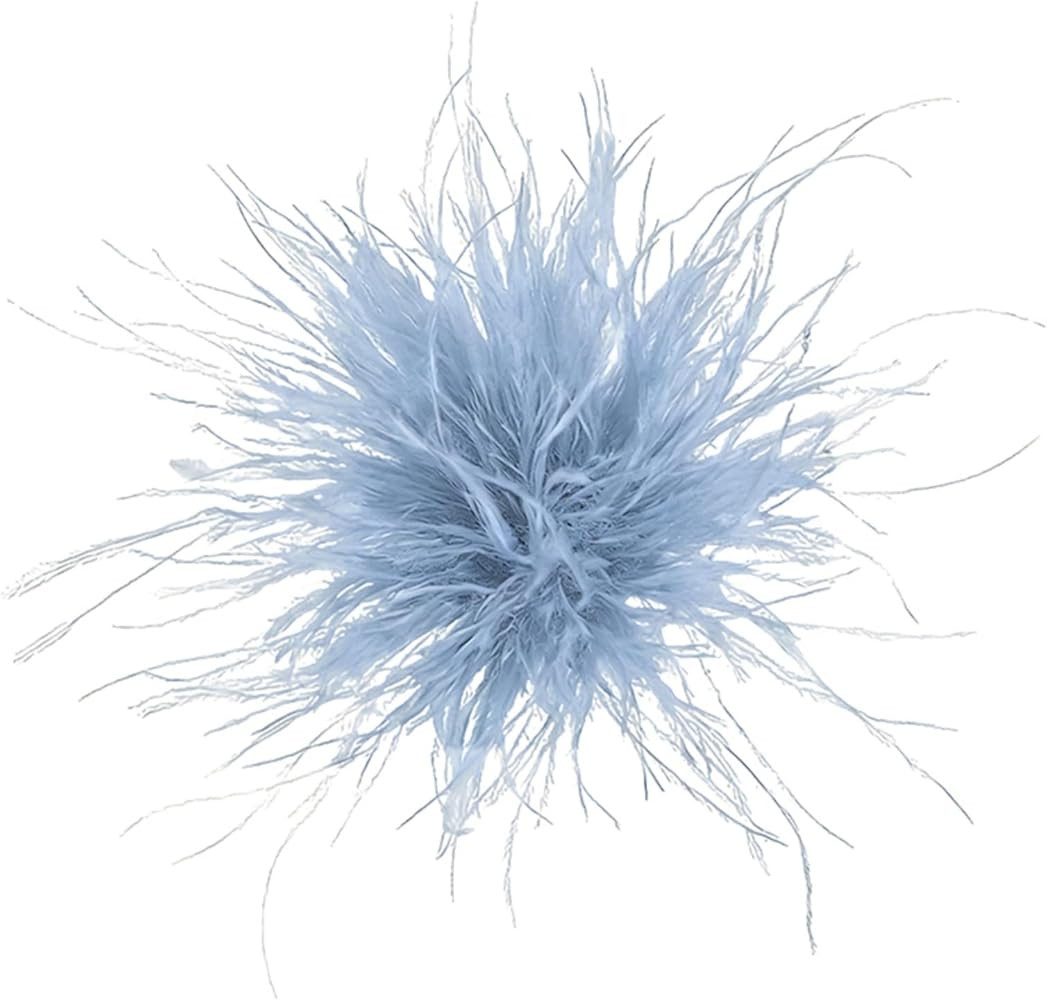 Dainty Feather Flower Large Brooch Pin for Women Men Oversized Elegant Floral Design Feather Over... | Amazon (US)