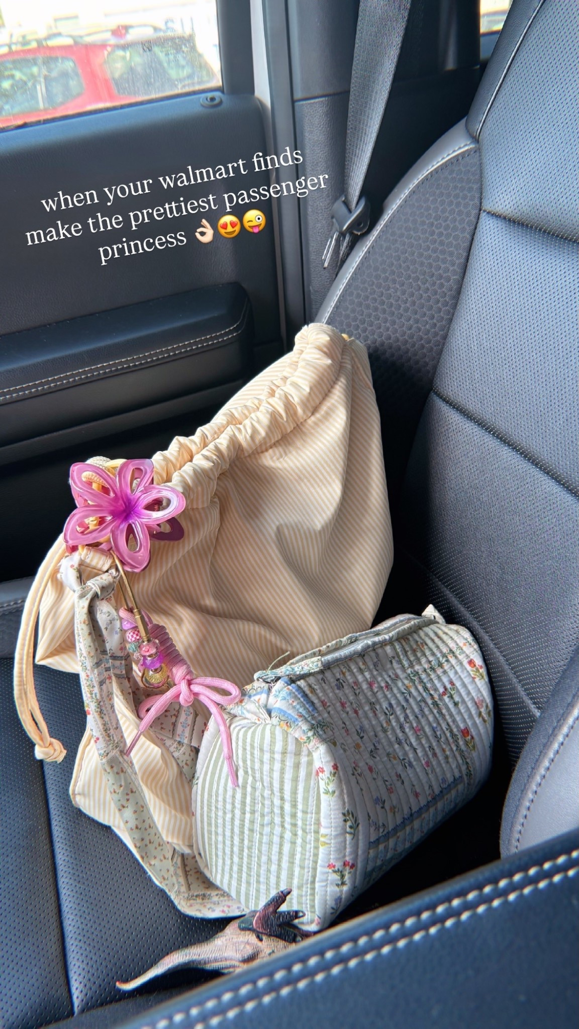 when your walmart finds make the prettiest passenger princess 👌🏻😍😜